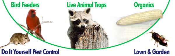 We carry wildlife seeds, wildflower seeds, vegetable seeds, bird feeders, organic gardening supplies, live animal traps, and professional pest control supplies.