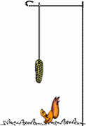 squngee demonstration cartoon